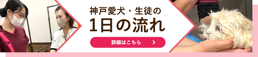 神戸愛犬・生徒の1日の流れはこちら