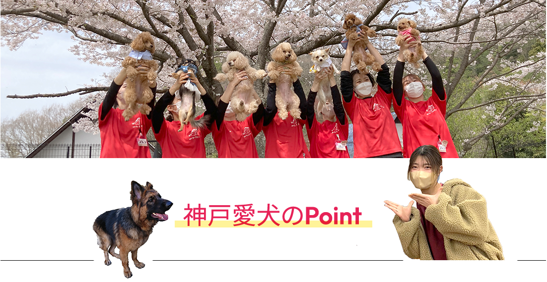神戸愛犬のポイント