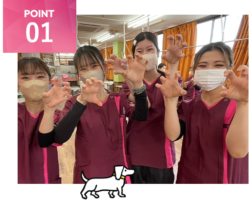 若い世代の進出増！のイメージ画像