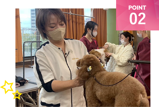 極めて高レベルの教育実施のイメージ画像