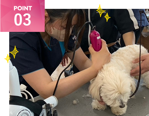 実践形式にこだわった教育で即戦力！のイメージ画像