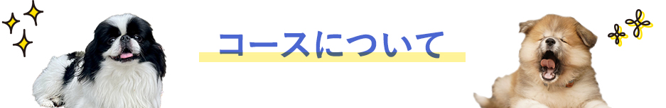 このコースのここがおススメ