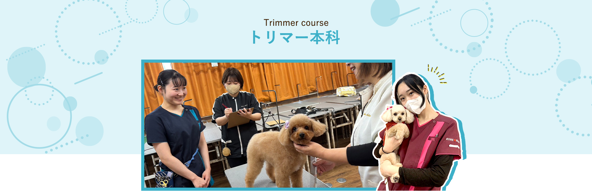 トリマー本科