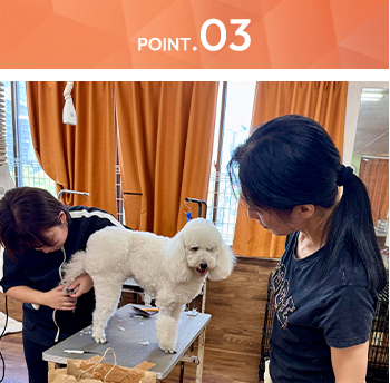 トリミングできる！