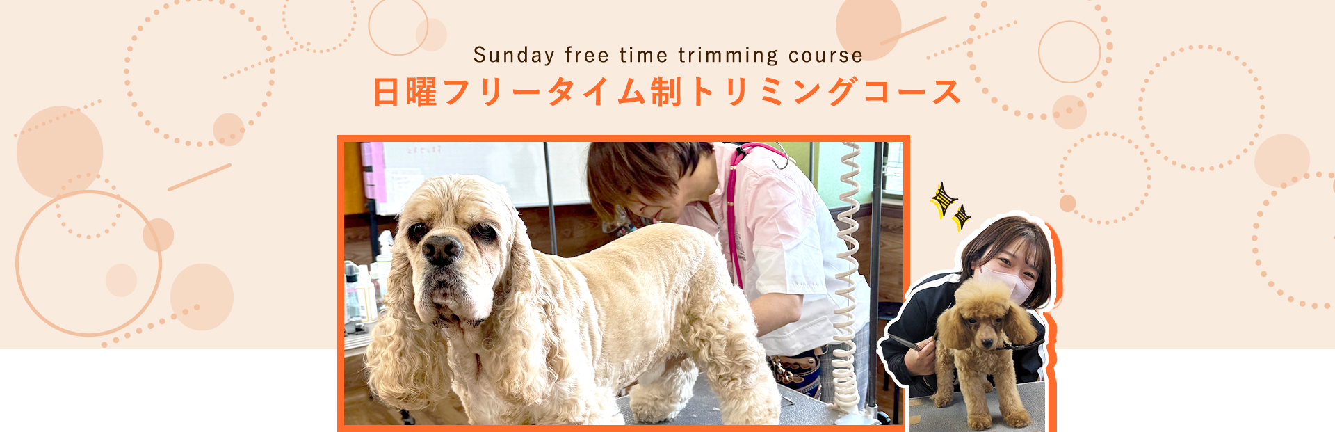 日曜フリータイム制トリミングコース