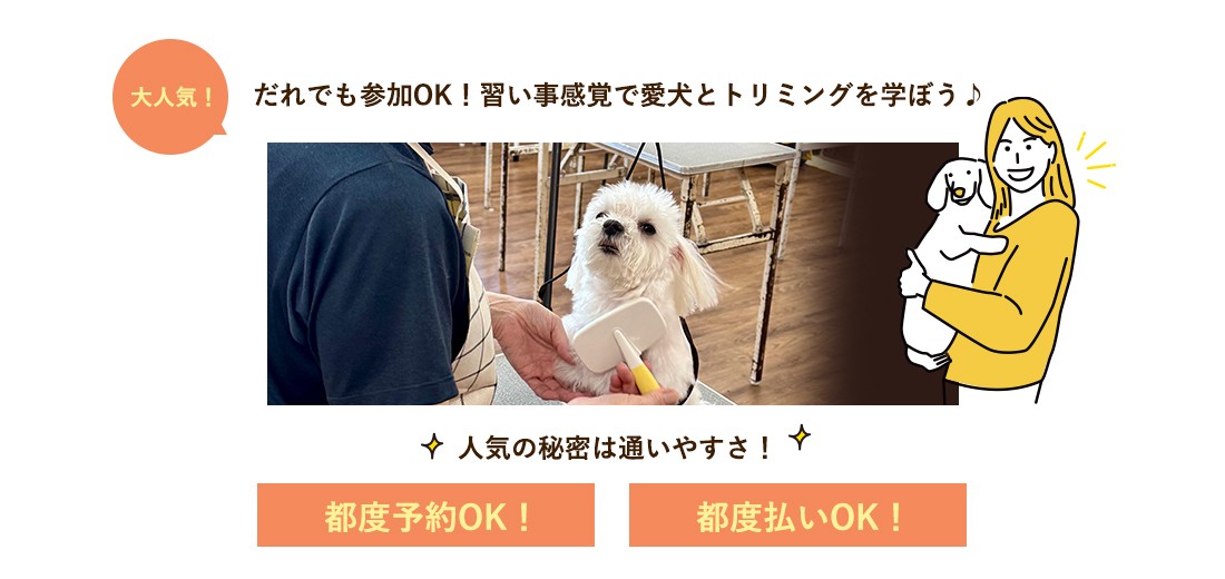 日曜フリータイム制トリミングコース