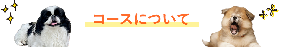 このコースのここがおススメ
