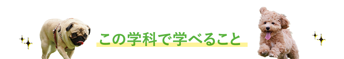 この学科で学べること