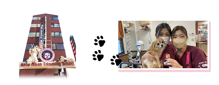 神戸愛犬専門学校　姫路校のイメージ写真