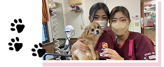 神戸愛犬専門学校　姫路校のイメージ写真