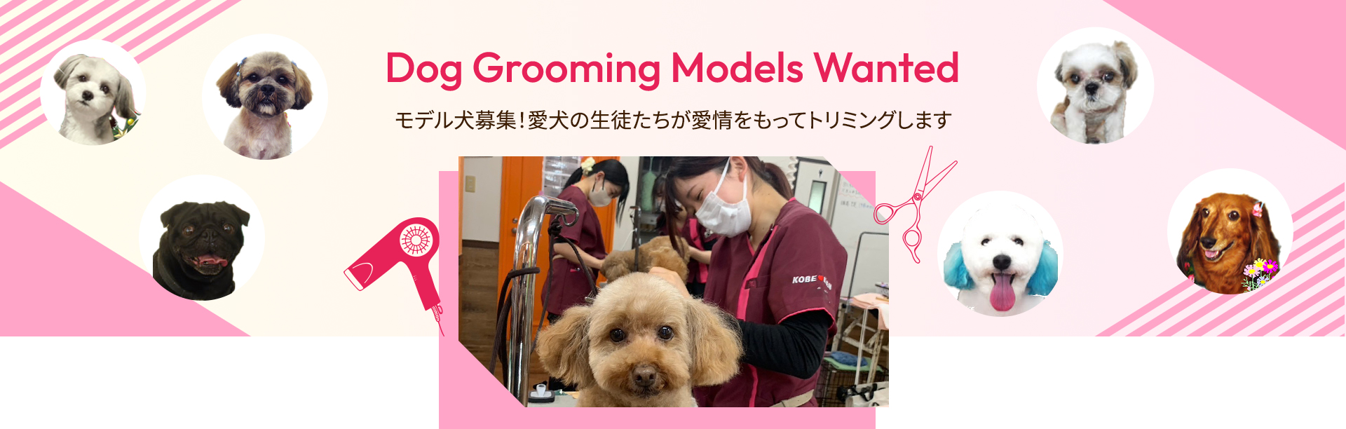 ここが嬉しい！モデル犬予約