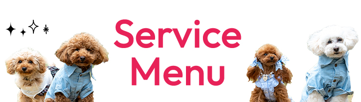 Service Menu