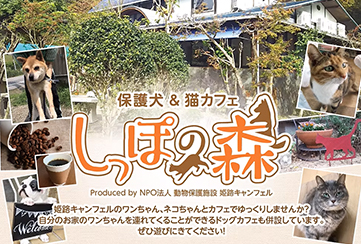 保護犬＆猫カフェ「しっぽの森」