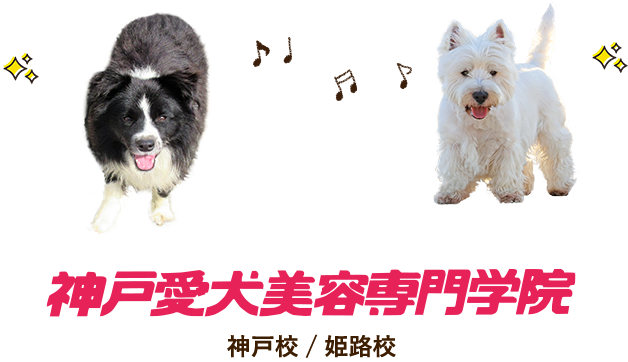 神戸愛犬美容専門学院
