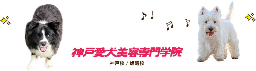 神戸愛犬美容専門学院