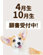 4月生10月生願書受付中!