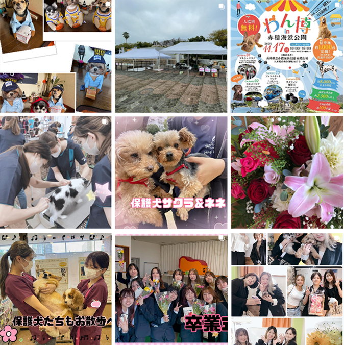 Instagramフィード