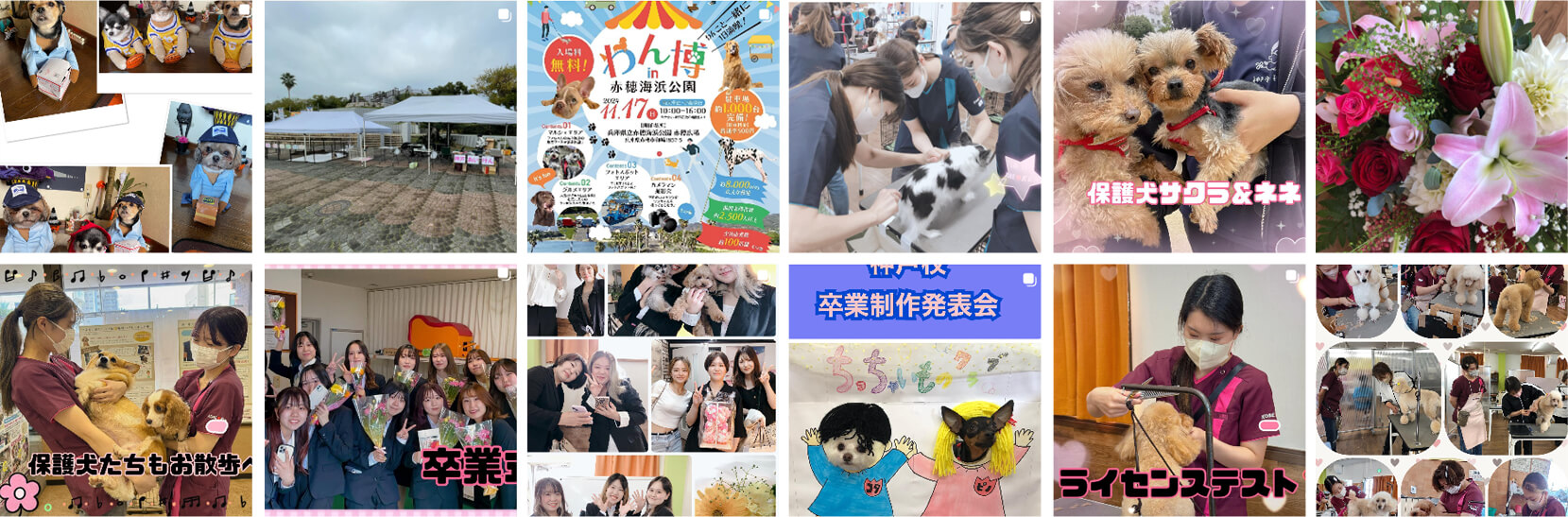 Instagramフィード