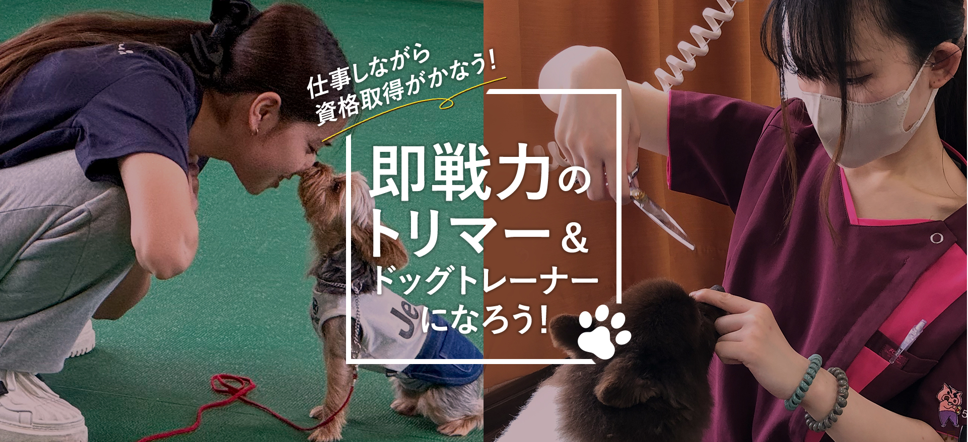 即戦力のトリマー＆ドッグトレーナーになろう
