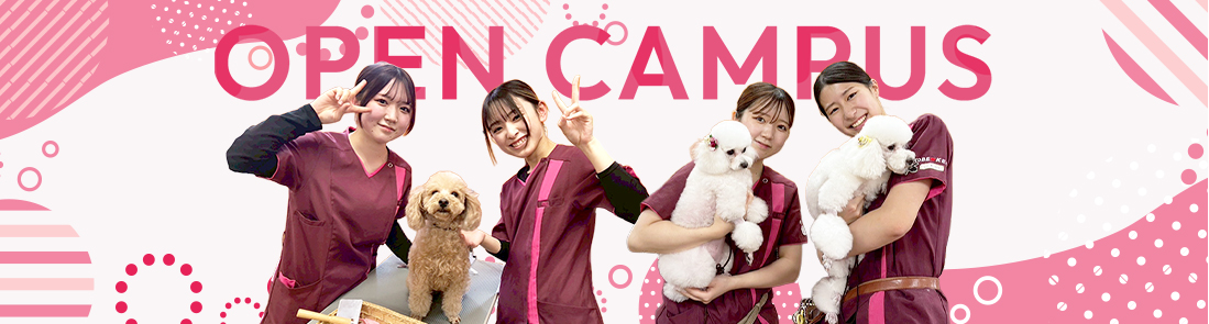 OpenCampus＆説明会バナー