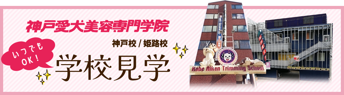 いつでも学校見学