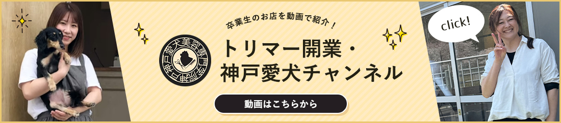 トリマー開業・神戸愛犬チャンネル