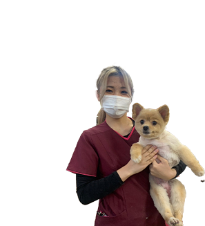 ライセンス＆キャリア