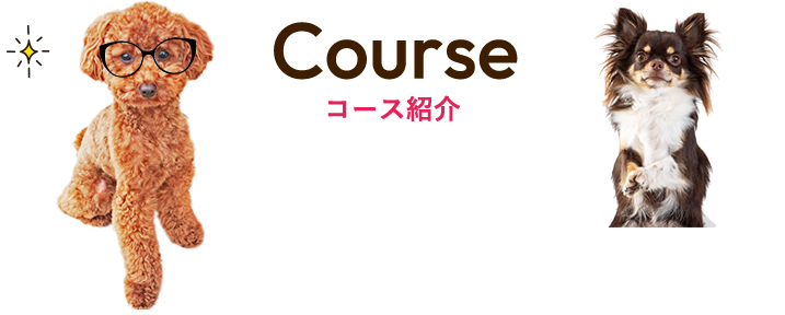 コース紹介