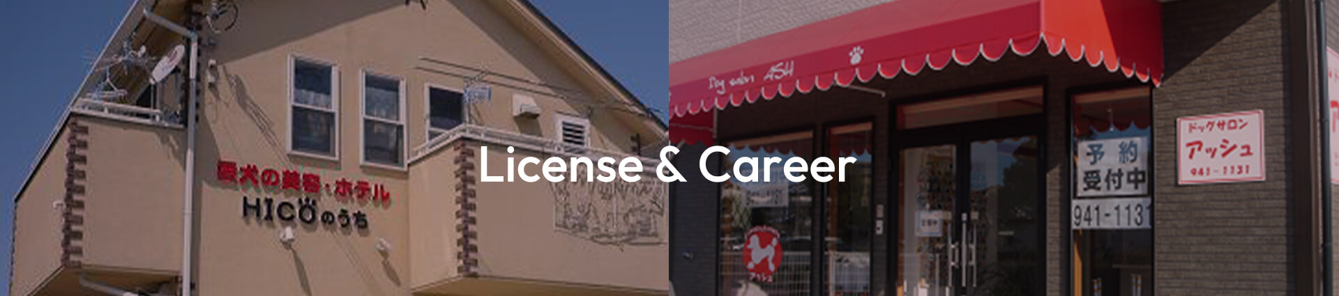 ライセンス＆キャリア