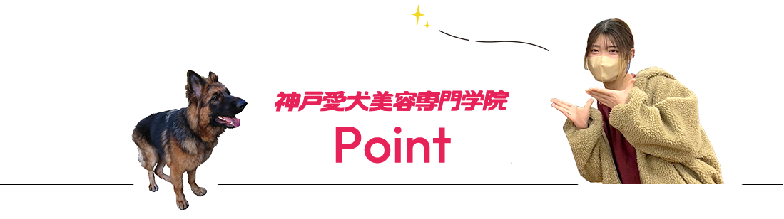 神戸愛犬のポイント