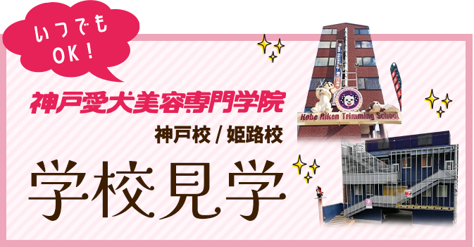 いつでもOK！学校見学はこちら