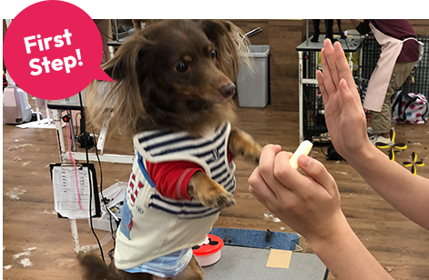 若い世代の進出増！のイメージ画像