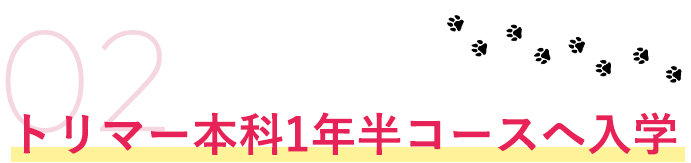 トリマー本科1年半コースへ入学