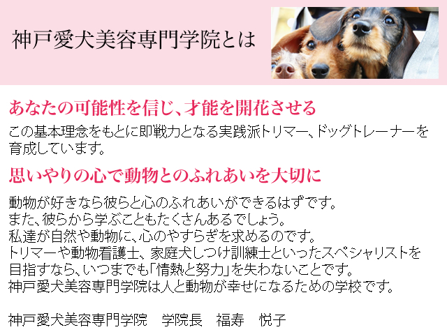 神戸愛犬美容専門学校とは