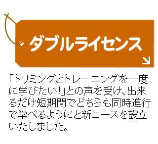ダブルライセンス