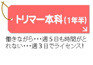 トリマー本科1年半