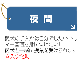 夜間