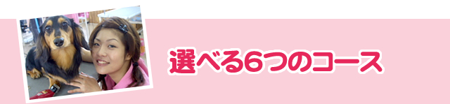 選べる6つのコース