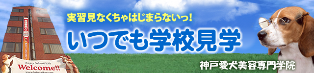 いつでも学校見学