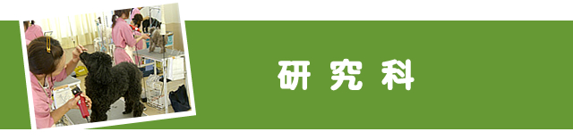 トリマー本科1.5年