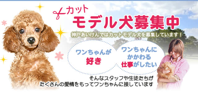 ワンちゃんが好き！
