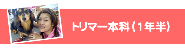 トリマー本科1.5年
