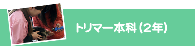トリマー本科1.5年