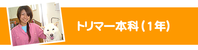 トリマー本科1年